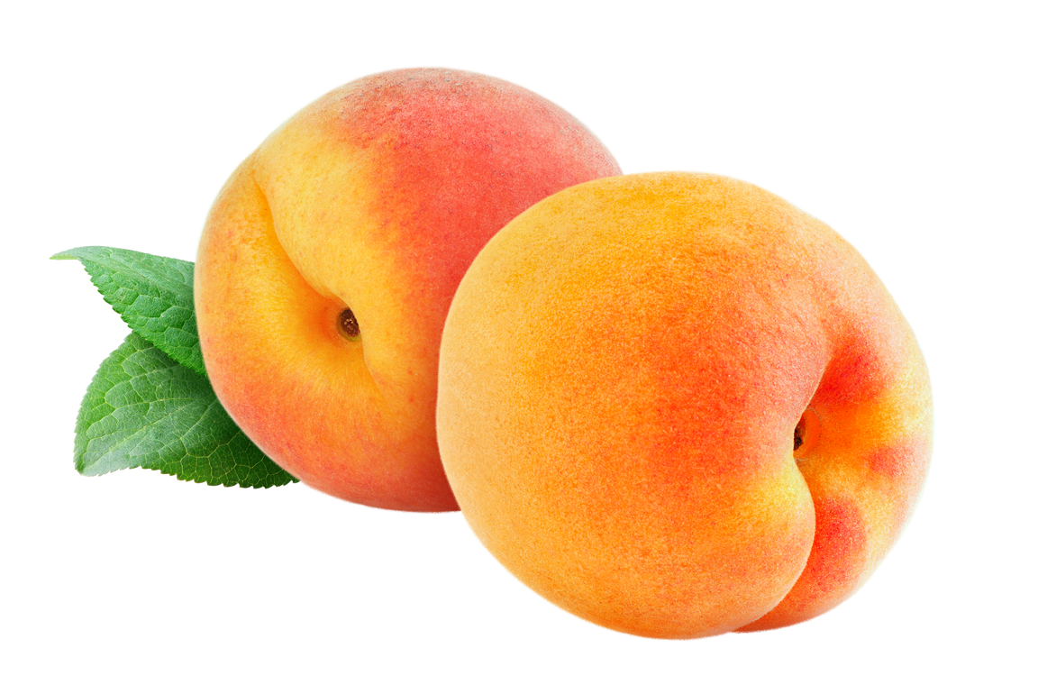 Fresh Apricot  Fruits